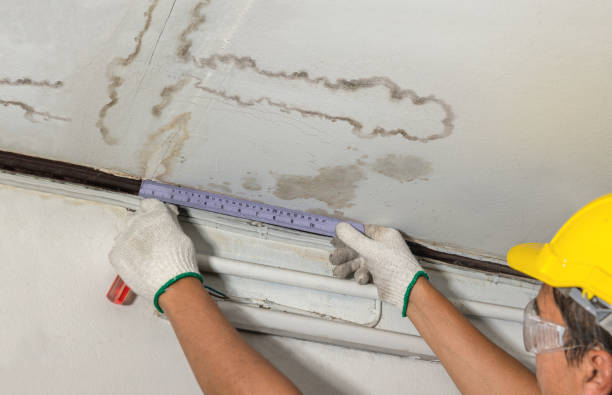 Reliable Mold Remediation contractor in Dunn, NC by Water Damage Irwin